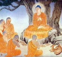 Lược Ý Tăng Già Họ Thích Nét Đặc Trưng Của Tăng Đoàn Phật Giáo Bắc Truyền
