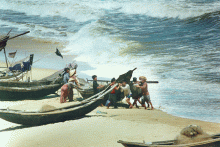 Thương Người Miền Trung