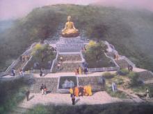 Hai hiện tượng bất thường cần phải báo động rộng rãi