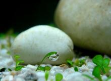 Lắng nghe lời sỏi đá gọi