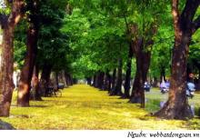 Ngàn năm Thăng Long - Hà Nội và Phật giáo Việt Nam - Bài 1: Dời đô và dấu ấn thiền sư
