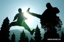 Hai võ sư chùa Thiếu Lâm biểu diễn võ thuật. Ảnh: Xinhua.