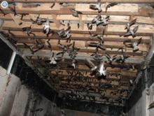 Tuyển tập 10 bài Số 107 - thơ Mặc Giang (Từ bài số 1061 đến số 1070)