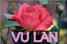 Một ngày không có Ba