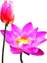 Tình Người Trong Cuộc Sống
