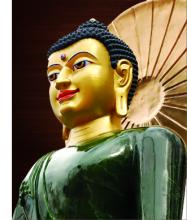 Từ khi tôi theo đạo Phật