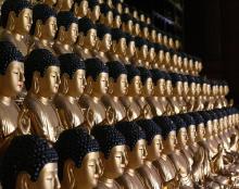 Duy tuệ thị nghiệp