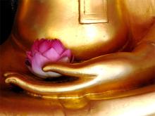 Mười huyền môn: trật tự của thế giới trong tương quan vô tận
