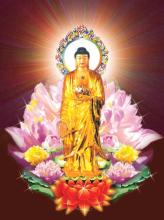 Cảm Nhận Về Tịnh Độ Tông