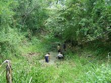 Tuyển tập 10 bài – Tình Tự Quê Hương 10