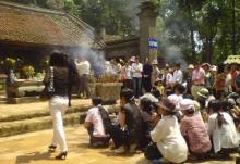 Ứng xử văn hóa
