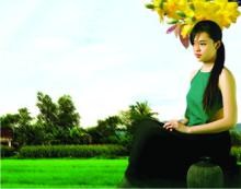 Mắt cỏ