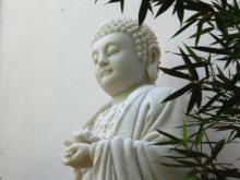 Một chữ Xả
