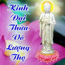 PHẬT THUYẾT ĐẠI THỪA VÔ LƯỢNG THỌ TRANG NGHIÊM THANH TỊNH BÌNH ĐẲNG GIÁC KINH