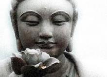 Thất giác chi