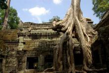 Ta Prohm - vẻ đẹp của sự hoang tàn