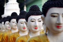 Báo thân Phật trong Phạn ngữ