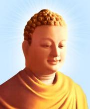 Tại Sao Run Sợ Trước "Cải Đạo"