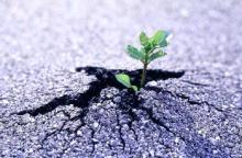 Xin hãy quý trọng những gì ta đang có