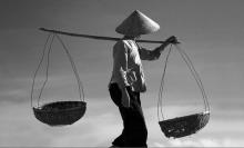 Tìm mẹ