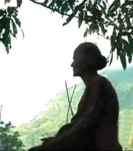 Chinh Chiến Đời Cô Phụ