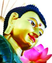 Phật tánh tam nhân