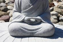 Cuộc cách mạng Thiền Chánh Niệm