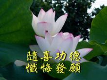 "Tùy Hỷ Công Đức" Pháp Của Người Học Phật Tu Tập Trong Khen Chê
