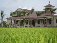 LONG AN: Chùa Khánh Ninh nô nức chuẩn bị khóa tu mùa hè lần thứ nhất, chủ đề “Rèn luyện tài đức – Vững bước vào đời”