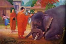 Tội & Nghiệp