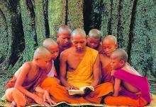 Giáo dục, sự tồn tại của lõi cây