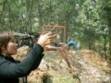 “Lời khẩn cầu” của chim phóng sinh