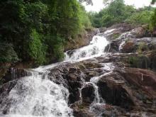 Suối nguồn hòa âm