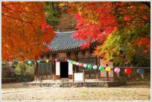 Hàn Quốc : Ma Cốc Cổ Tự cảnh thiên nhiên tuyệt đẹp