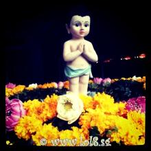 Mơ những mùa Phật Đản không chiến tranh