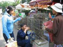 Trả lại sự tôn nghiêm cho các cơ sở tín ngưỡng, tôn giáo... bao giờ?