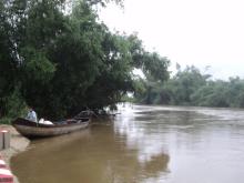 Chùm Thơ Đợi Lũ