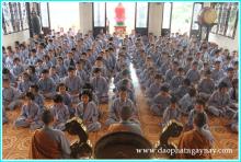 Khóa tu Gieo Hạt Từ Tâm 19: Bé yêu muôn loài