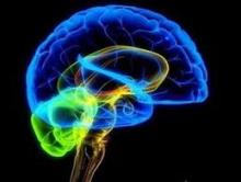 Nói Về Hoạt Động Trí Não