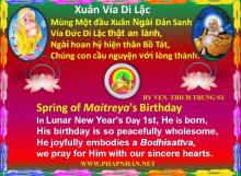 Những Bài Thơ Xuân
