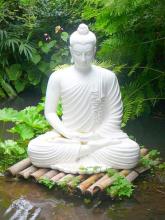 Tâm thư con gửi đức Phật