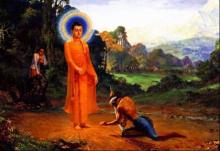 Khoảng Cách Giữa Lý Thuyết và Thực Hành