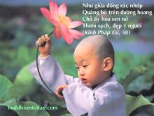 Sai Lầm Của Đời Người Là Đánh Mất Chính Mình