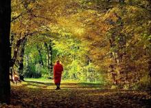 Lay Ta Tỉnh Mộng Một Lời Tâm Kinh