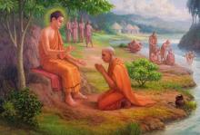 Tận dụng cả trong lẫn ngoài để thành công