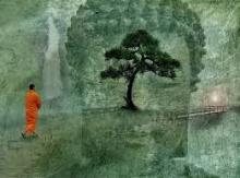 Tám Gió Thổi Chẳng Động
