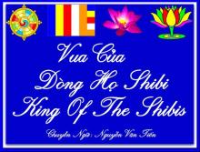 Vua Của Dòng Họ Shibi