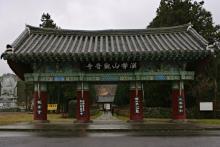 Hàn Quốc: Chùm ảnh Danh lam thắng cảnh Quan Âm Cổ Tự đảo Jeju