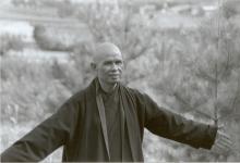Đất mẹ yêu thương