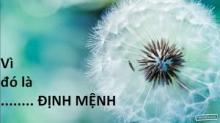 Không Nên Tin Vào Định Mệnh